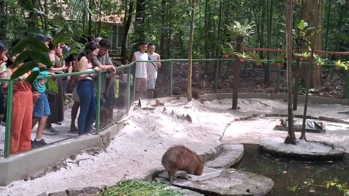 Crédito: Marli Portilho/ Secom