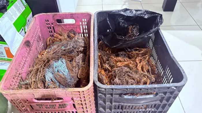 Crédito: Ascom Segbel