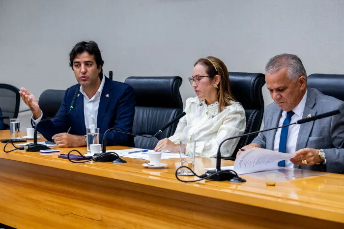 Foto: Rinaldo Morelli/Agência CLDF