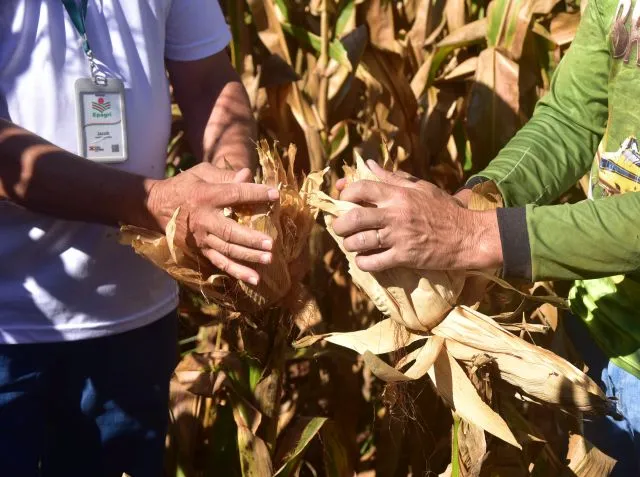 Epagri celebra 70 anos de extensão rural com homenagens a quem construiu essa história