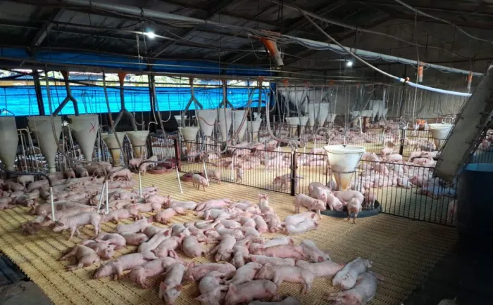 Foto: Reprodução/Secom Acre