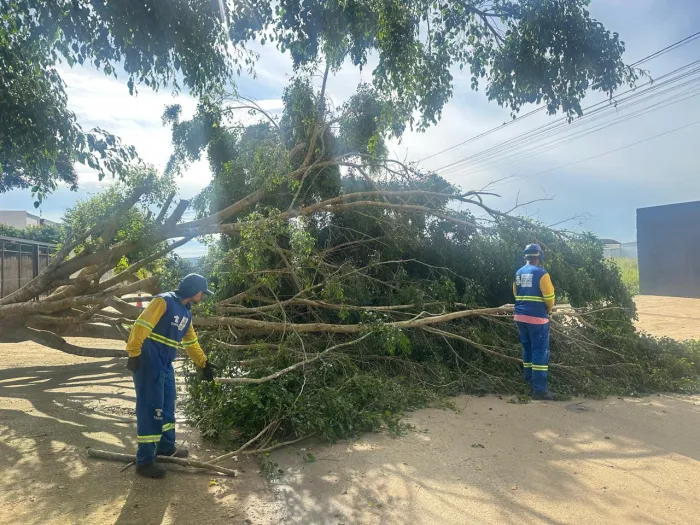 Foto: Reprodução/Prefeitura de Vitória da Conquista - BA