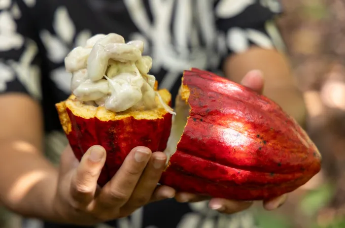 Foto: André Frutuôso/Ascom CAR