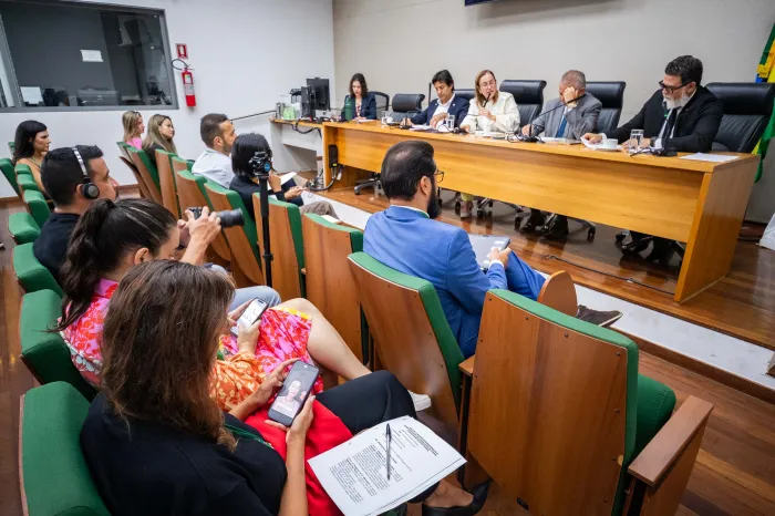 Foto: Rinaldo Morelli/Agência CLDF