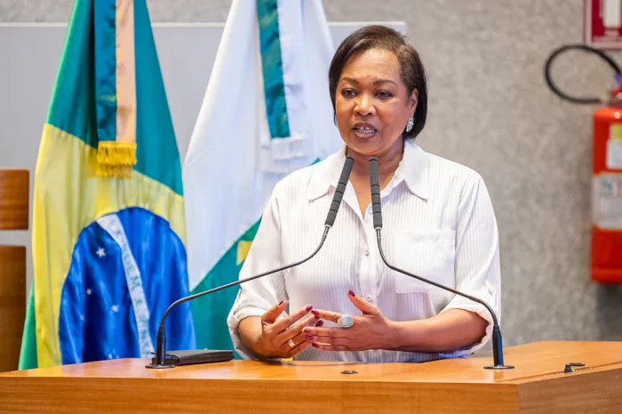 Foto: Reprodução/Agência CLDF