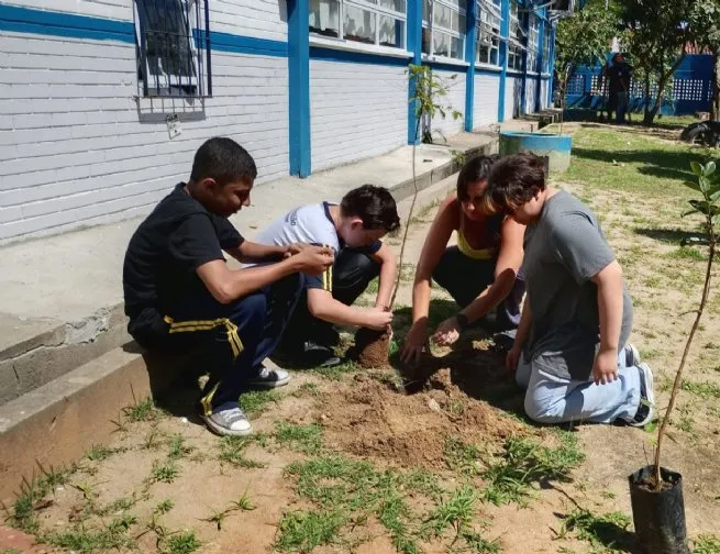 Prefeitura de São Sebastião planta uma média de duas árvores por dia em 2026