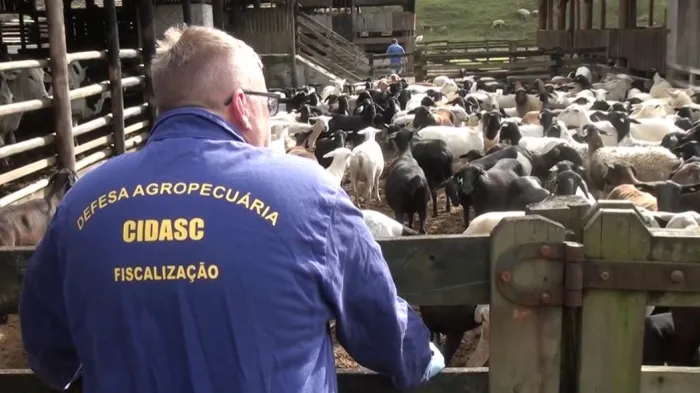 Dia do Agronegócio: setor é uma das forças da economia catarinense alcançando recordes de produção e exportação