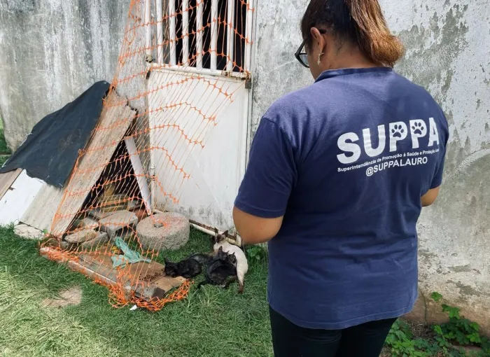 Prefeitura fortalece proteção animal com novo número de atendimento