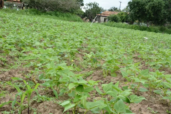 Fotos: Washington Nery - Arquivo