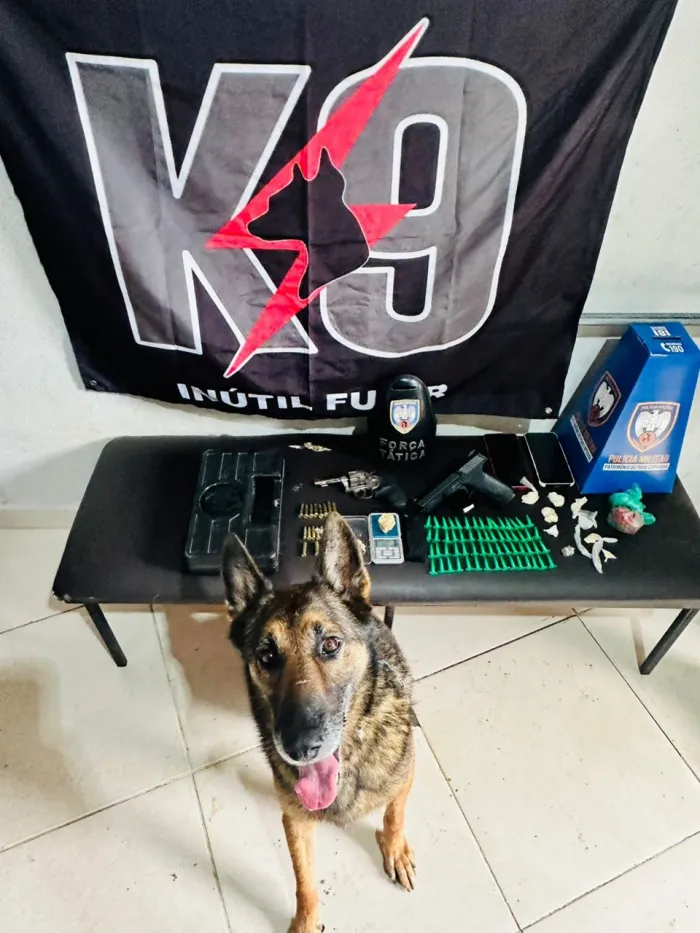 Operação do 2º BPM resulta na detenção de três suspeitos e apreensão de armas e drogas no interior de Nova Venécia
