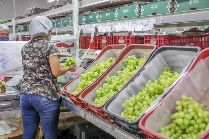 Foto: Reprodução/Prefeitura de Petrolina - PE