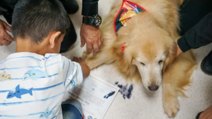 Governo do Estado promove inclusão por meio da cinoterapia com cães da Polícia Penal