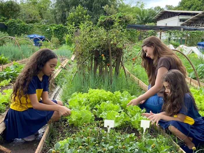 Seaspac: Gincana dos NUCAs promove educação climática e regeneração da terra em Marabá