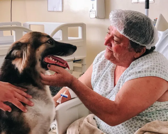 Hospital Metropolitano retoma projeto da Terapia Assistida por Animais para pacientes
