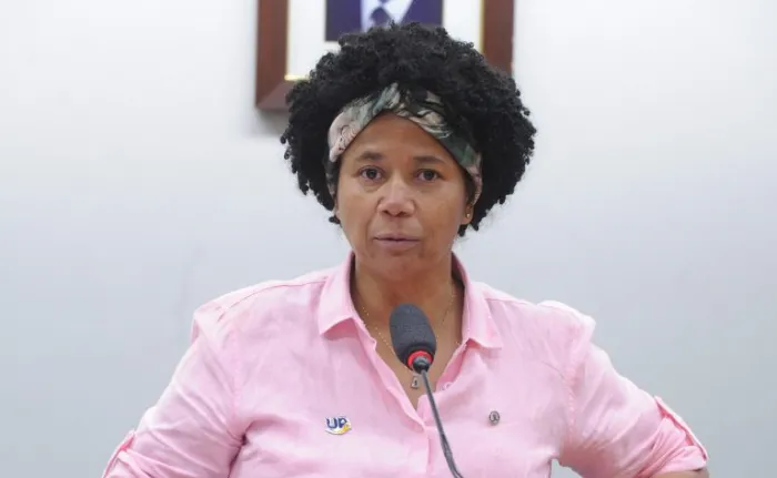 Renato Araújo/Câmara dos Deputados