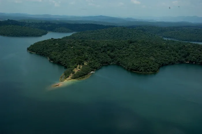 Instituto Estadual de Florestas cria grupo de trabalho para acelerar metas da Mata Atlântica em Minas