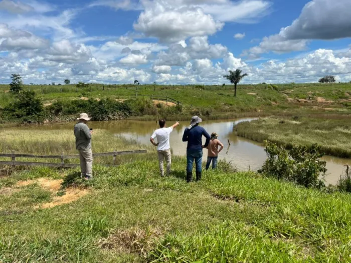 A ação integra o Programa de Prevenção de Riscos Ambientais (PPRA) e contempla a implementação e o acompanhamento de 230 hectares em Área de Preservação Permanente (APP) e Reserva Legal