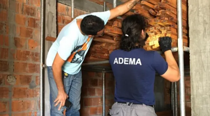 Prazo de migração para Documento de Origem Florestal Rastreabilidade é prorrogado até 30 de junho