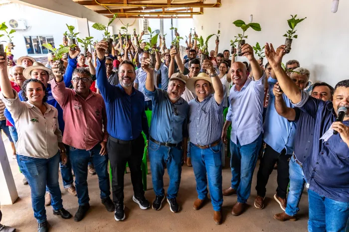  Cafeicultura é uma das bases da renda de dezenas de famílias do município (Foto: Assessoria parlamentar)