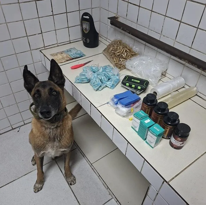 Foto: Reprodução/Polícia Militar - ES