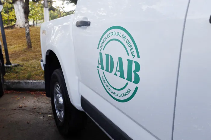 Foto: Rafael Martinhs