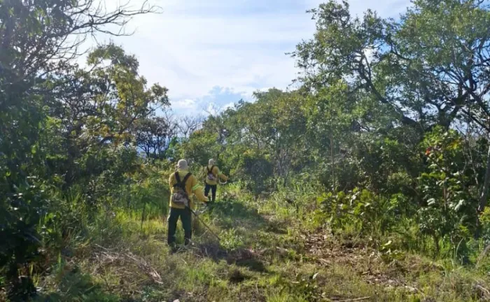 Naturatins inicia ações de prevenção a incêndios florestais no Parque Estadual do Lajeado