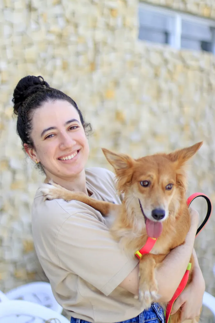 Prefeitura realiza mais de 100 atendimentos em ações que priorizaram cuidados para animais idosos