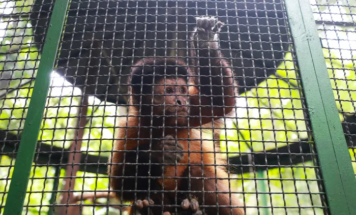 Crédito: Paula Lourinho