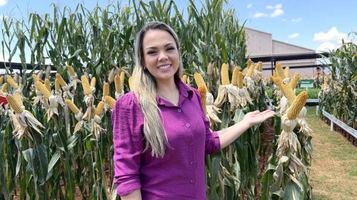  Deputada Cláudia de Jesus (PT) (Foto: Assessoria Parlamentar)