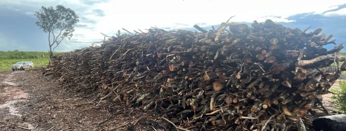 Operação Grande Sertão IV combate desmatamento ilegal no Norte de Minas e aplica mais de R$ 800 mil em multas