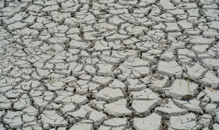 © Rafa Neddermeyer/Agência Brasil