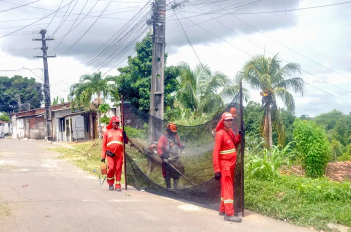 Emlur inicia a semana com serviços de conservação e coleta domiciliar na cidade