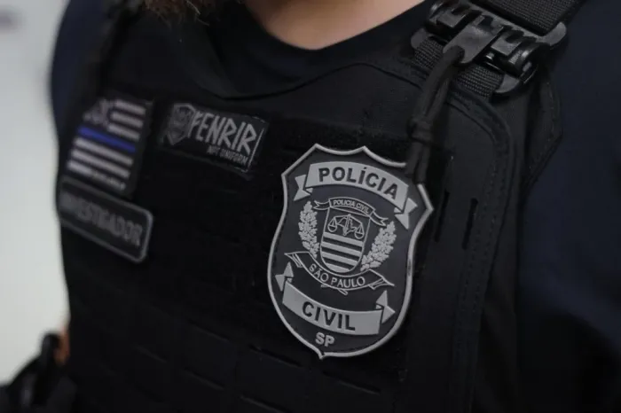 Polícia Civil apreende 6 armas em casa de investigado por violência doméstica no interior de SP