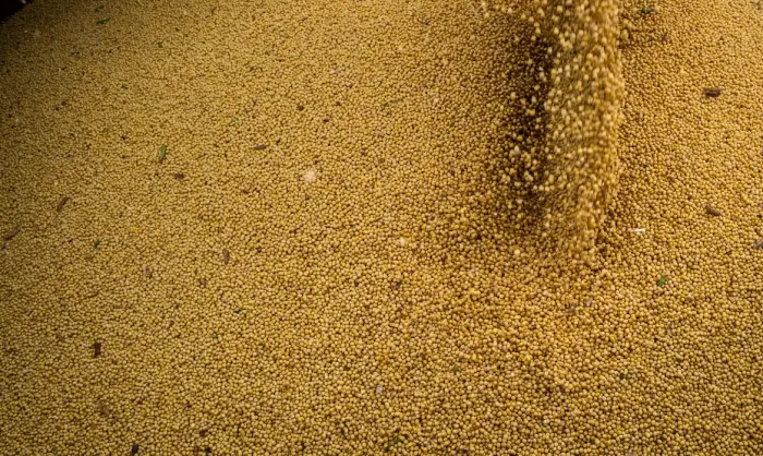 © CNA/Wenderson Araujo/Trilux