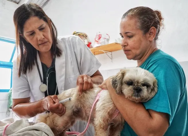 Prefeitura informa sobre suspensão temporária da vacinação antirrábica por escassez nacional de doses