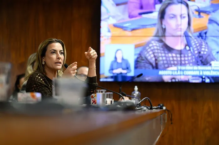 CDH avalia pena maior para crimes de violência digital contra mulheres