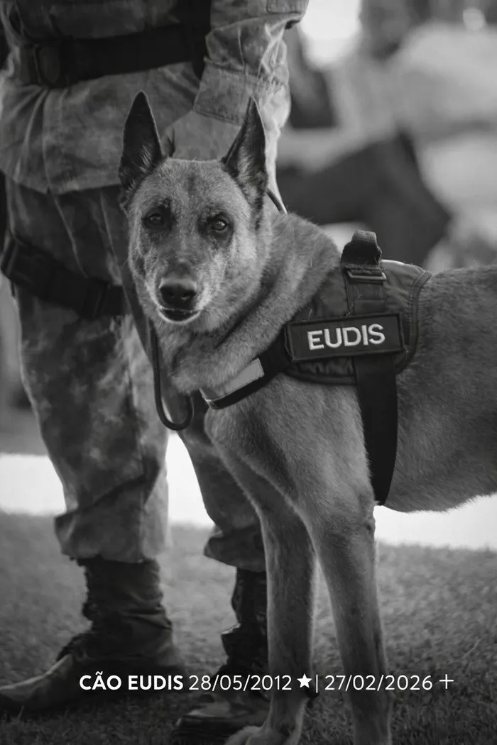 Foto: Reprodução/Polícia Militar - ES