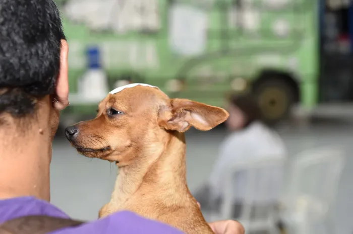 Foto: Reprodução/Secom Paraná
