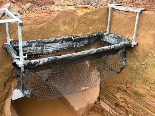 Ecobueiros passam por testes de resistência