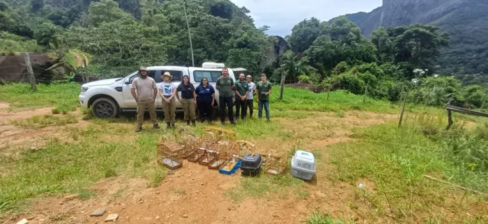 Iema realiza primeira soltura de animais silvestres no Monumento Natural Serra das Torres