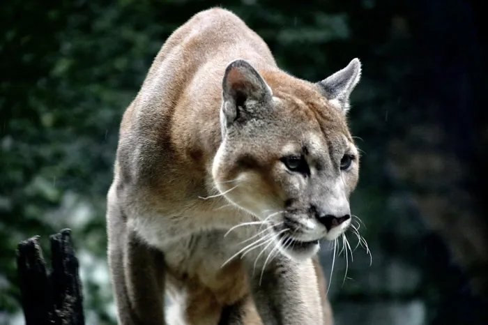 Foto: Matheus Lemos/Ascom Sema