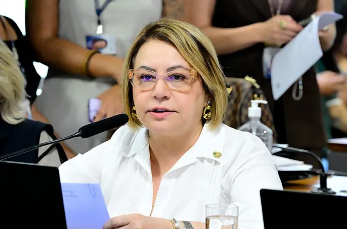 CDH aprova indicação ao Executivo de crédito às microempreendedoras