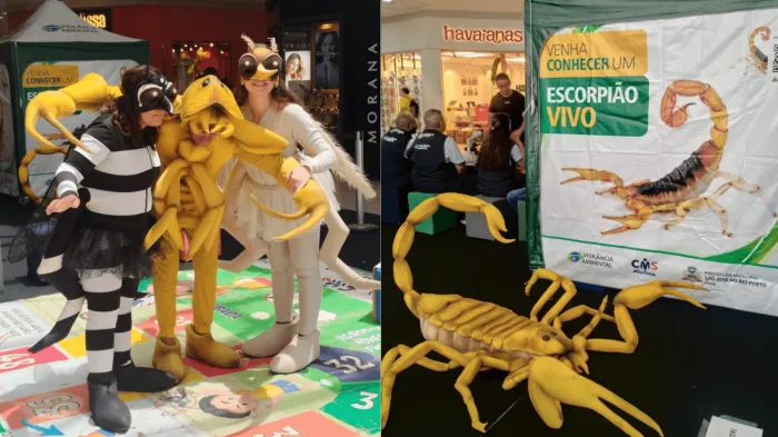 Feira de Educação Ambiental supera expectativa do público
