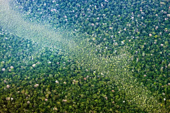 Foto: Bruno Cecim - Ag. Pará