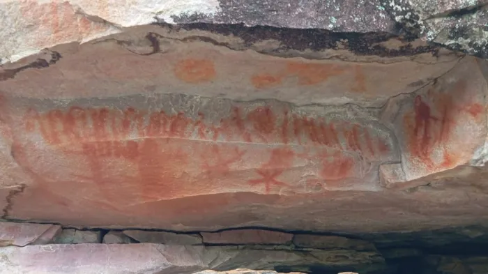 Foto: Divulgação/Parque Estadual Serra dos Montes Altos