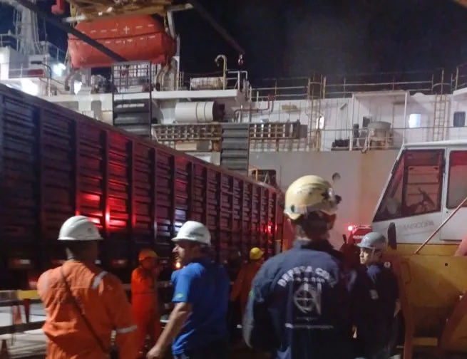 Resposta imediata evita tragédia no Porto e mobiliza força-tarefa após incêndio em navio com 2,6 mil animais
