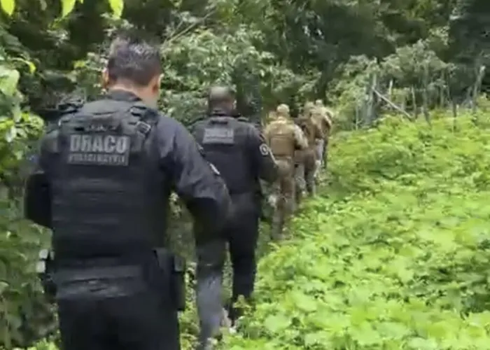 Foto: Reprodução/Secom Piauí