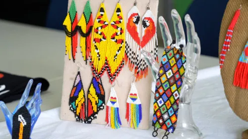 Foto: Reprodução/Prefeitura de Porto Velho - RO