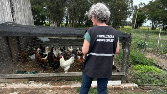 Fiscais agropecuários trabalham na verificação da saúde de animais nas propriedades -Foto: Sergiane Pereira/Seapi