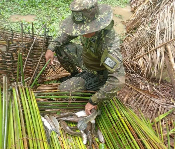 Foto: Reprodução/Secom Piauí
